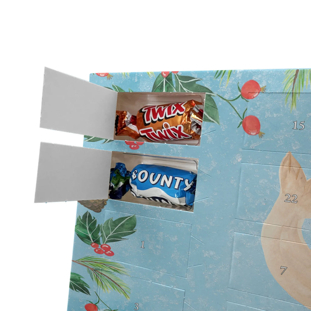 Schoko Adventskalender Robbe Liegen adventskalender pralinen, kalender schokolade, Schokoladen Adventskalender, schoko kalender, schokoladenkalender, Weihnachts Kalender, Schoko-Adventskalender, Weihnachten Adventskalender, weihnachtskalender schoko, schokolade adventskalender, pralinen adventskalender, Schoko Adventskalender, schokoladen kalender, adventskalender schoko, süßigkeiten kalender, süßigkeiten adventskalender, Schokoladen-Weihnachtskalender, schoko weihnachtskalender, Weihnachtskalender Schokolade, Adventskalender Schokolade, kalender weihnachten, Schokoladen-Adventskalender, Weihnachtskalender, schokokalender, Adventskalender, adventskalender süßigkeiten, Lustige Sprüche, Gute Laune, Tiermotive, Tiere, Nordsee, Meerestier, Ostsee, Robben, Robbe, Freude, Seehund, Lachen, Strand