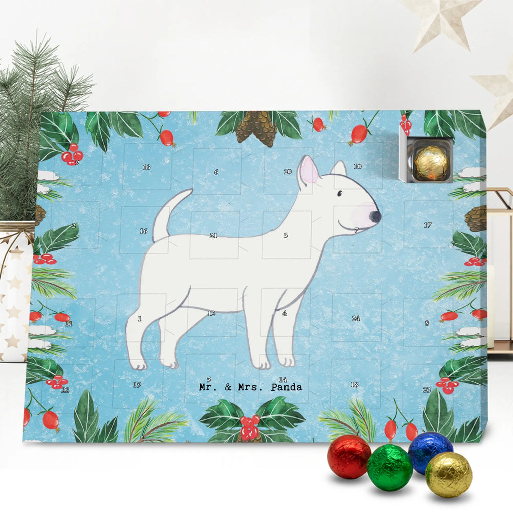 Chocolate advent calendar Bull Terrier Moment puppy, dog owner, purebred dog, dog breed, giving, animal lover, gift