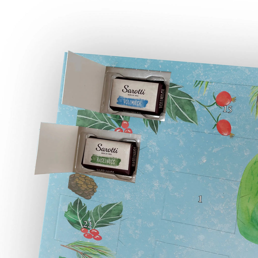 Chocolate advent calendar cactus happy cactus, cactuses, plants, small green cactus, cactus plant, cacti, child protection, colleague, friend, office life, new start, saying, education, mother