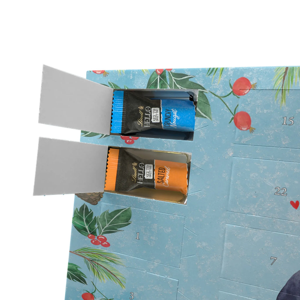 Chocolate advent calendar Penguin diet North Pole, Penguins, losing weight, self-respect, diet, body love, penguins, self-love, weight