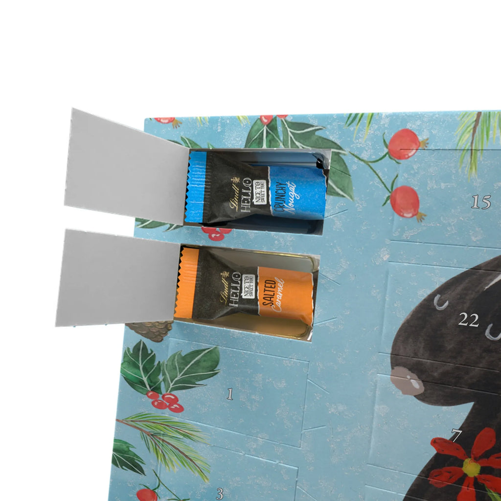 Chocolate advent calendar skunk flower wild animal, daydreamer, predator, dreamy, stink