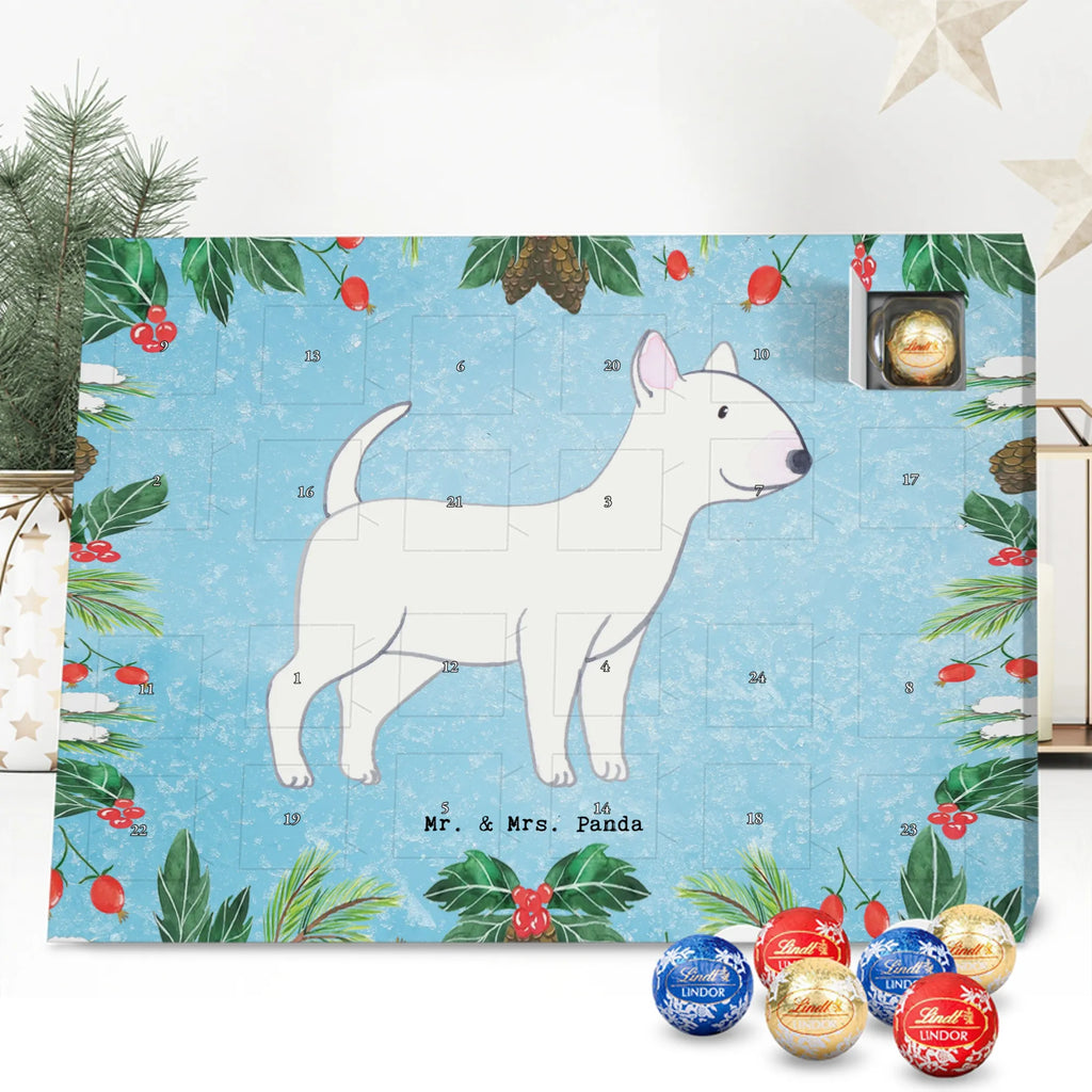 Chocolate advent calendar Bull Terrier Moment puppy, dog owner, purebred dog, dog breed, giving, animal lover, gift