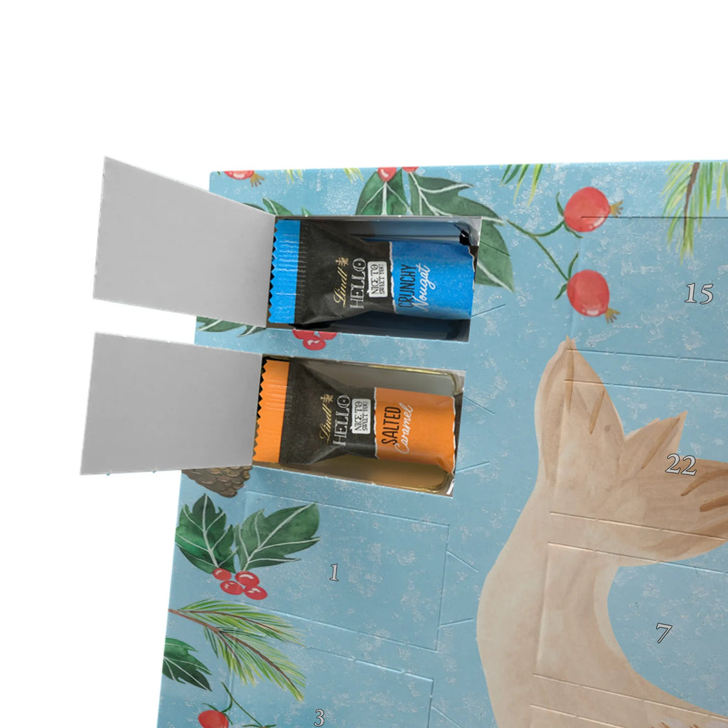 Schoko Adventskalender Robbe Liegen adventskalender pralinen, kalender schokolade, Schokoladen Adventskalender, schoko kalender, schokoladenkalender, Weihnachts Kalender, Schoko-Adventskalender, Weihnachten Adventskalender, weihnachtskalender schoko, schokolade adventskalender, pralinen adventskalender, Schoko Adventskalender, schokoladen kalender, adventskalender schoko, süßigkeiten kalender, süßigkeiten adventskalender, Schokoladen-Weihnachtskalender, schoko weihnachtskalender, Weihnachtskalender Schokolade, Adventskalender Schokolade, kalender weihnachten, Schokoladen-Adventskalender, Weihnachtskalender, schokokalender, Adventskalender, adventskalender süßigkeiten, Lustige Sprüche, Gute Laune, Tiermotive, Tiere, Nordsee, Meerestier, Ostsee, Robben, Robbe, Freude, Seehund, Lachen, Strand