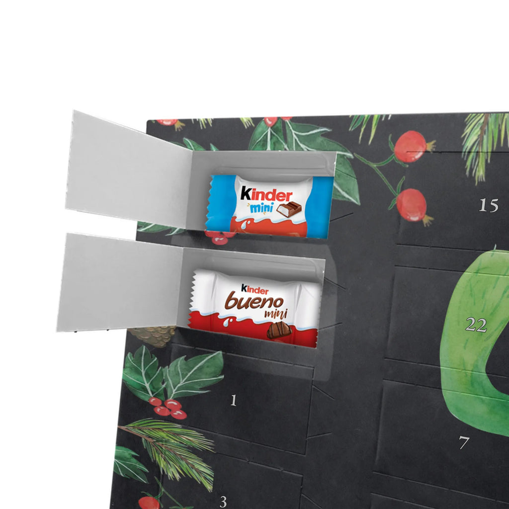 Chocolate advent calendar cactus happy cactus, cactuses, plants, small green cactus, cactus plant, cacti, child protection, colleague, friend, office life, new start, saying, education, mother