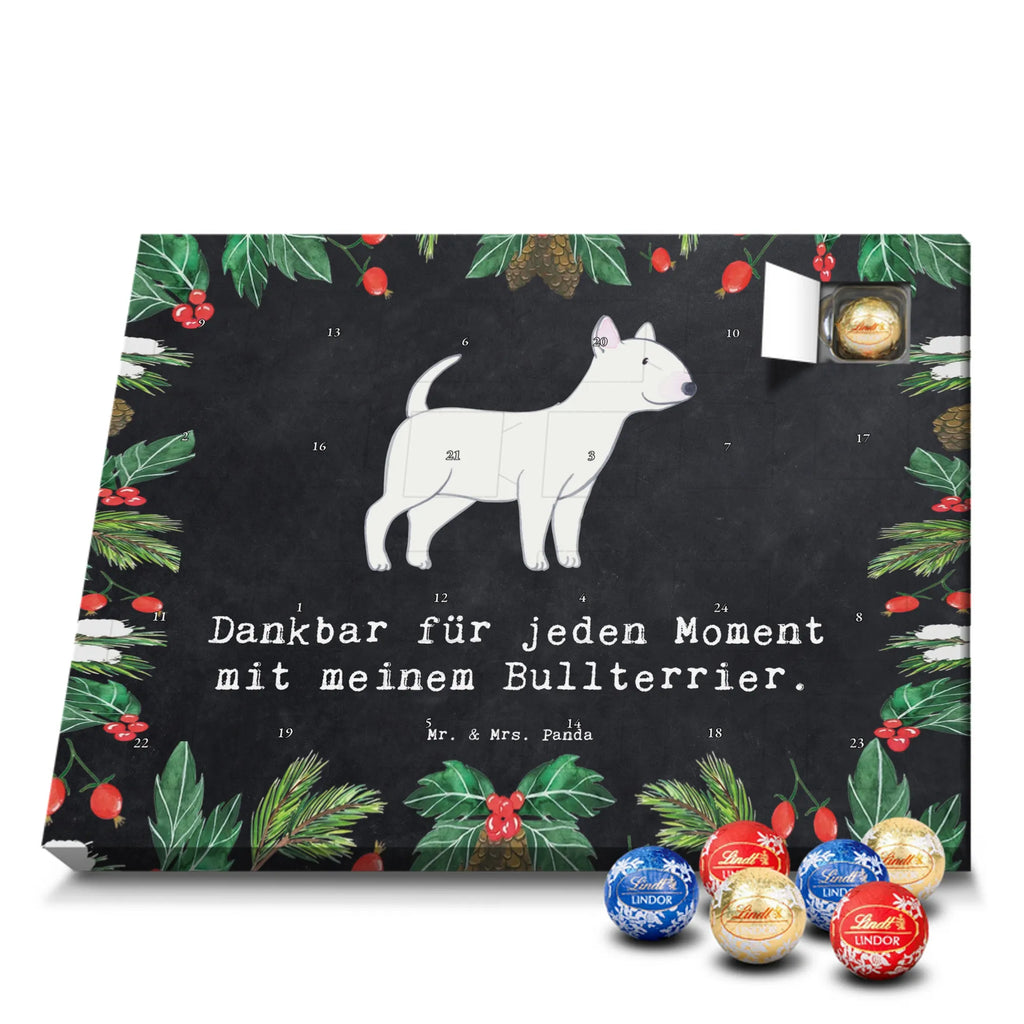 Chocolate advent calendar Bull Terrier Moment puppy, dog owner, purebred dog, dog breed, giving, animal lover, gift