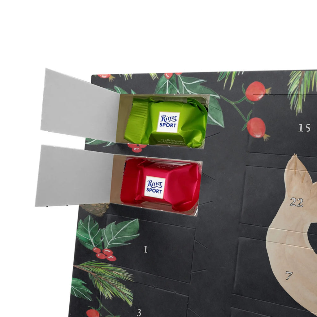 Schoko Adventskalender Robbe Liegen adventskalender pralinen, kalender schokolade, Schokoladen Adventskalender, schoko kalender, schokoladenkalender, Weihnachts Kalender, Schoko-Adventskalender, Weihnachten Adventskalender, weihnachtskalender schoko, schokolade adventskalender, pralinen adventskalender, Schoko Adventskalender, schokoladen kalender, adventskalender schoko, süßigkeiten kalender, süßigkeiten adventskalender, Schokoladen-Weihnachtskalender, schoko weihnachtskalender, Weihnachtskalender Schokolade, Adventskalender Schokolade, kalender weihnachten, Schokoladen-Adventskalender, Weihnachtskalender, schokokalender, Adventskalender, adventskalender süßigkeiten, Lustige Sprüche, Gute Laune, Tiermotive, Tiere, Nordsee, Meerestier, Ostsee, Robben, Robbe, Freude, Seehund, Lachen, Strand