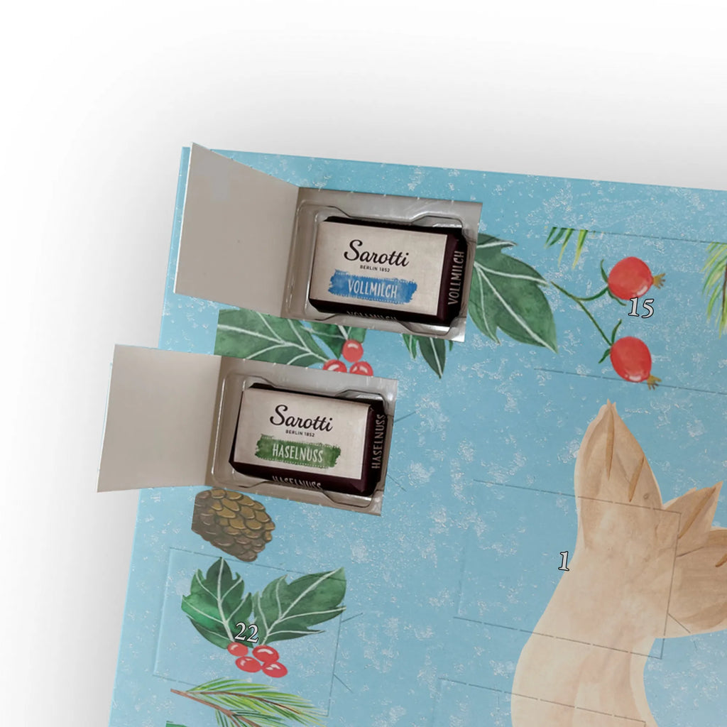 Schoko Adventskalender Robbe Liegen adventskalender pralinen, kalender schokolade, Schokoladen Adventskalender, schoko kalender, schokoladenkalender, Weihnachts Kalender, Schoko-Adventskalender, Weihnachten Adventskalender, weihnachtskalender schoko, schokolade adventskalender, pralinen adventskalender, Schoko Adventskalender, schokoladen kalender, adventskalender schoko, süßigkeiten kalender, süßigkeiten adventskalender, Schokoladen-Weihnachtskalender, schoko weihnachtskalender, Weihnachtskalender Schokolade, Adventskalender Schokolade, kalender weihnachten, Schokoladen-Adventskalender, Weihnachtskalender, schokokalender, Adventskalender, adventskalender süßigkeiten, Lustige Sprüche, Gute Laune, Tiermotive, Tiere, Nordsee, Meerestier, Ostsee, Robben, Robbe, Freude, Seehund, Lachen, Strand