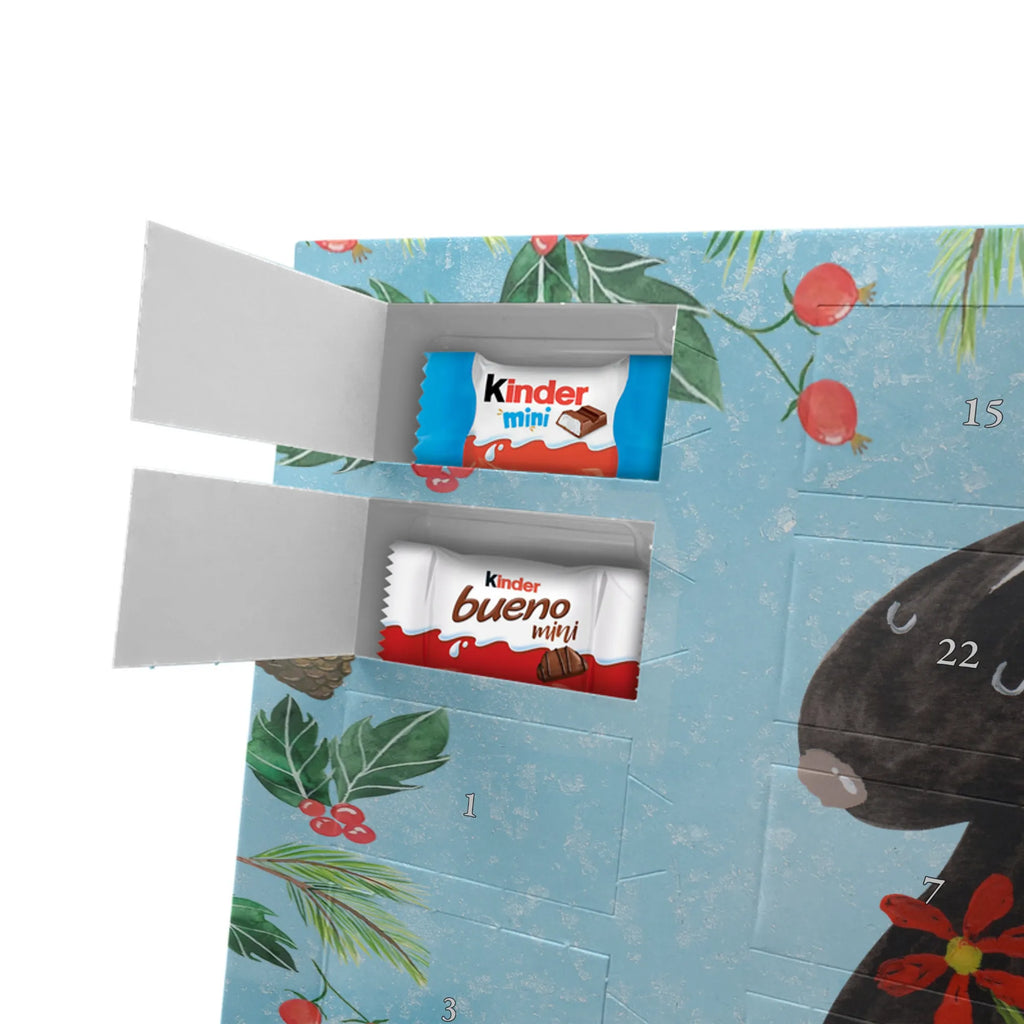 Chocolate advent calendar skunk flower wild animal, daydreamer, predator, dreamy, stink