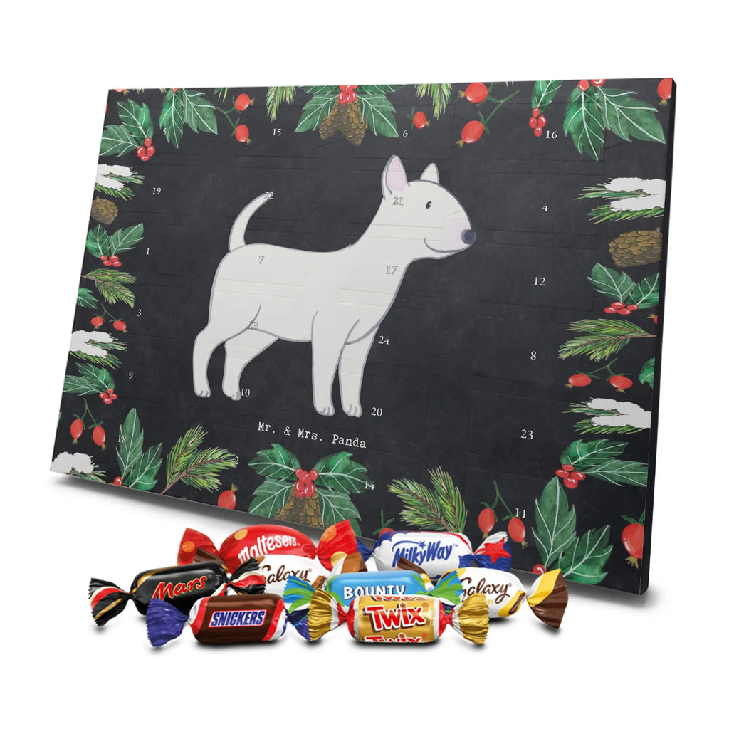 Chocolate advent calendar Bull Terrier Moment puppy, dog owner, purebred dog, dog breed, giving, animal lover, gift