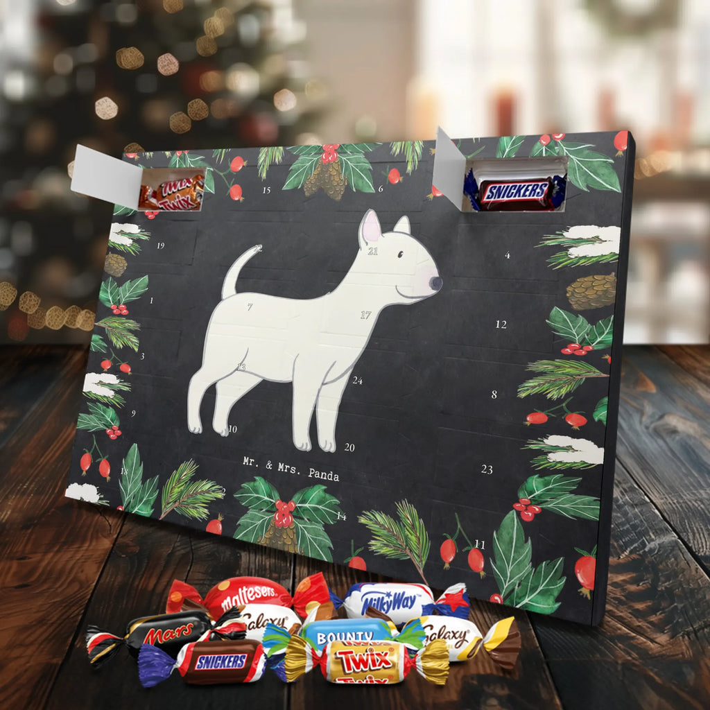 Chocolate advent calendar Bull Terrier Moment puppy, dog owner, purebred dog, dog breed, giving, animal lover, gift