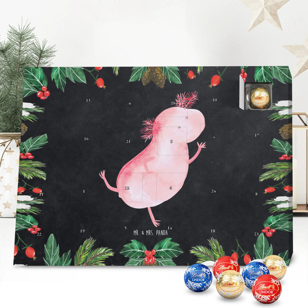 Chocolate advent calendar axolotl Dance Mexican walking fish, Axelotl, marine animals, salamander, stars, roof damage, tailfish, best friend, amphibians, girlfriend