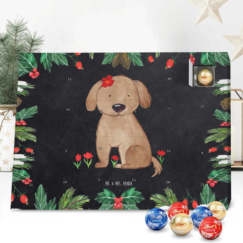 adventskalender süßigkeiten Hund Dame schoko kalender, schokoladen kalender, kalender schokolade, pralinen adventskalender, adventskalender süßigkeiten, Weihnachtskalender, adventskalender schoko, schokolade adventskalender, Schoko Adventskalender, Schokoladen-Adventskalender, süßigkeiten kalender, adventskalender pralinen, Weihnachts Kalender, schokoladenkalender, Schokoladen-Weihnachtskalender, Schoko-Adventskalender, süßigkeiten adventskalender, Adventskalender Schokolade, Weihnachtskalender Schokolade, weihnachtskalender schoko, Schokoladen Adventskalender, Weihnachten Adventskalender, Adventskalender, kalender weihnachten, schokokalender, schoko weihnachtskalender, Tierliebhaber, Hundebesitzer, Hunderasse, Haustier, Hund, Sprüche, Hundemotiv, Liebe, Hundeglück, Hunde, Hundeliebe, Frauchen