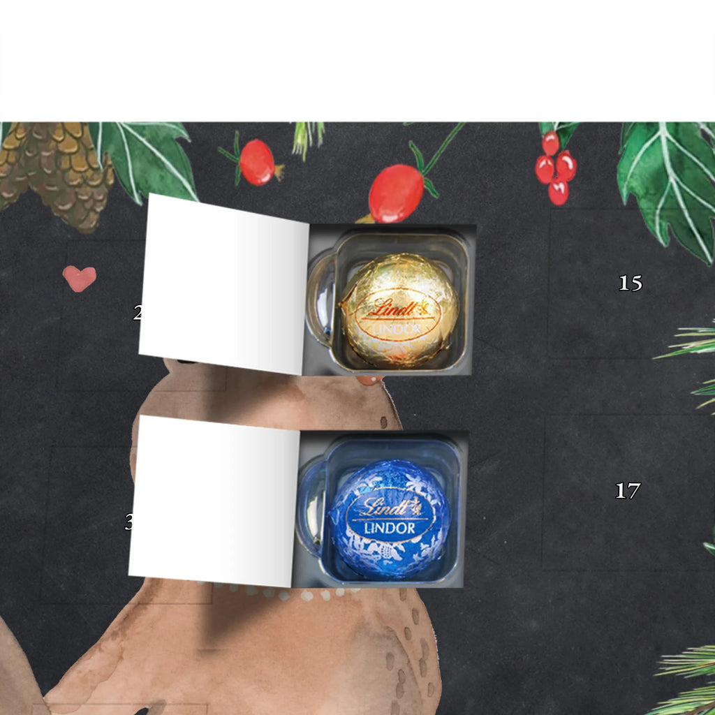  Niedźwiedź przyjaciółka Miś, Pluszowy miś, Niedźwiedź