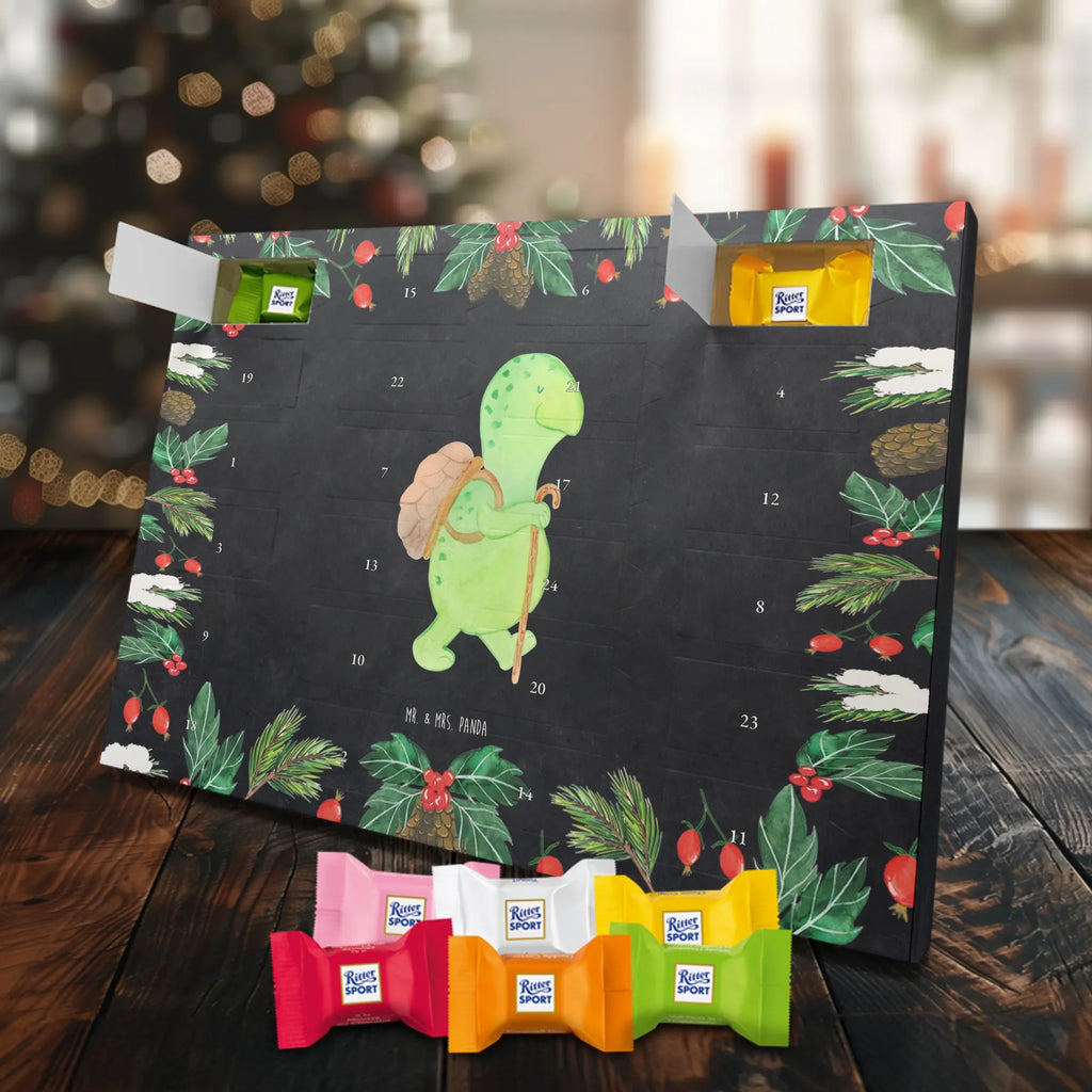 Chocolate advent calendar tortoise walker reptile, sister or daughter, sweet, gift ideas, tortoise, turtle gift items, illustrated, best friend, gift, turtle lover, pet turtles, funny turtle gifts, ancient creature, cute, birthday gift, turtles, new beginning, motivational slogan