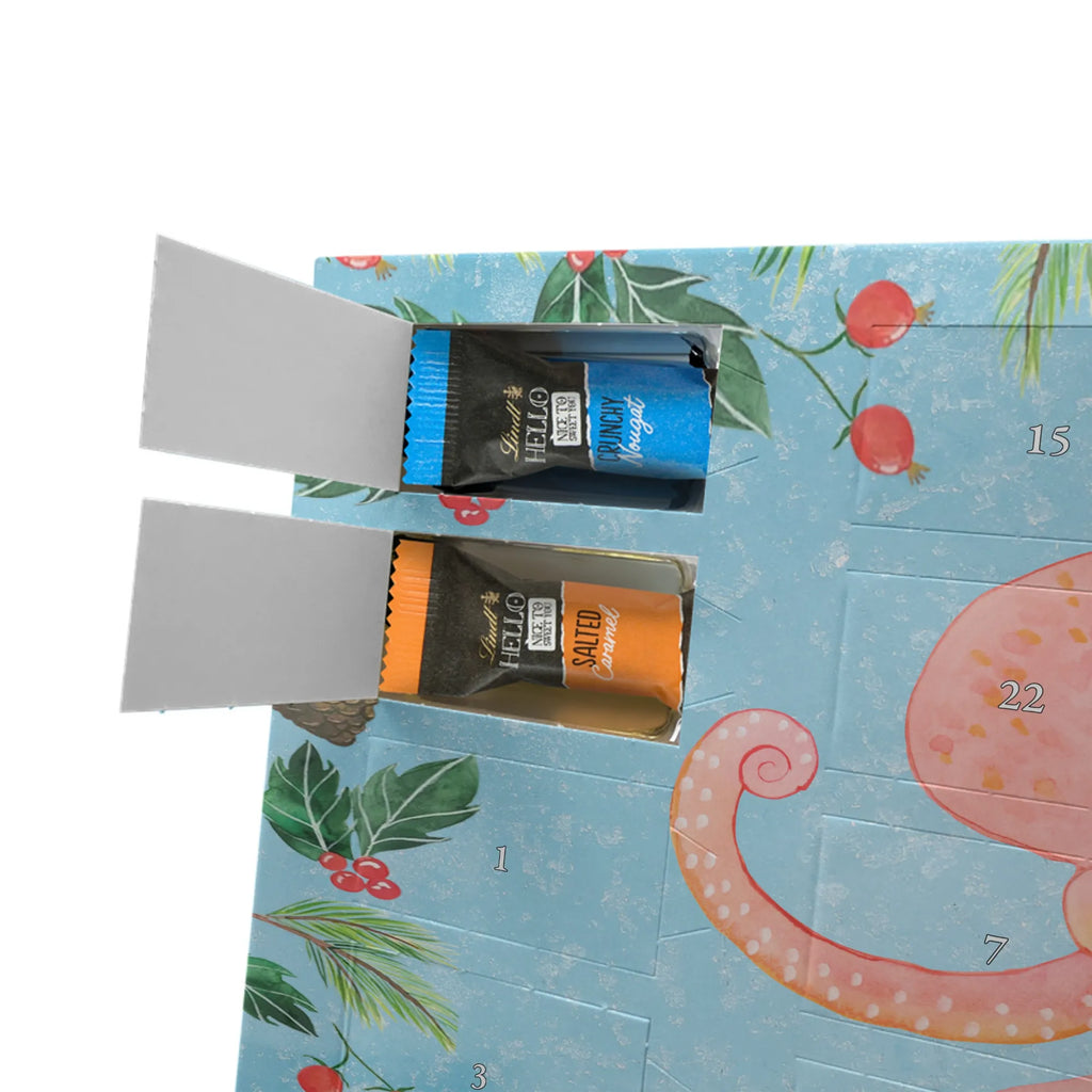 Schokoladen-Adventskalender Tintenfisch Schokoladen-Weihnachtskalender, schoko kalender, weihnachtskalender schoko, Adventskalender Schokolade, süßigkeiten kalender, kalender weihnachten, kalender schokolade, Schokoladen Adventskalender, schokoladenkalender, pralinen adventskalender, schokoladen kalender, Weihnachtskalender Schokolade, Schoko-Adventskalender, schokolade adventskalender, Weihnachts Kalender, Schoko Adventskalender, schoko weihnachtskalender, Weihnachtskalender, Schokoladen-Adventskalender, süßigkeiten adventskalender, Weihnachten Adventskalender, schokokalender, adventskalender süßigkeiten, Adventskalender, adventskalender schoko, adventskalender pralinen, Lustige Sprüche, Gute Laune, Tiermotive, Tiere, Meerestier, Arme, Krake, Tintenfisch, Wasser, Ozean, Meer