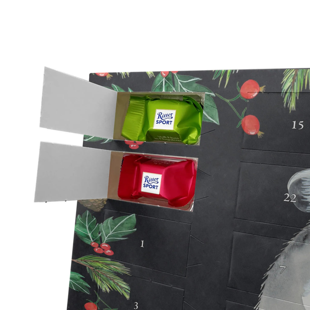  szynszyla kwiat zwierzęta, Motywy zwierzęce, dobra energia, zabawne powiedzonka