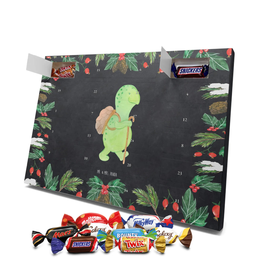 Chocolate advent calendar tortoise walker reptile, sister or daughter, sweet, gift ideas, tortoise, turtle gift items, illustrated, best friend, gift, turtle lover, pet turtles, funny turtle gifts, ancient creature, cute, birthday gift, turtles, new beginning, motivational slogan