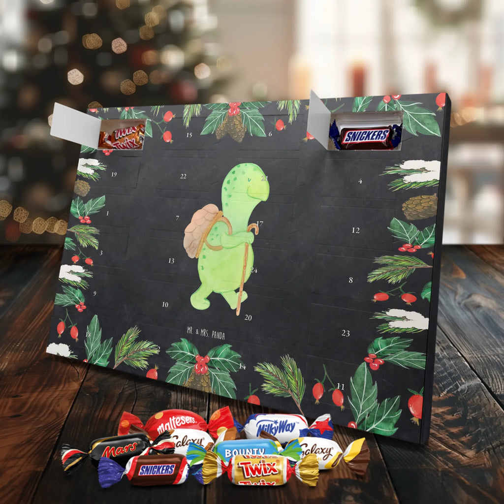 Chocolate advent calendar tortoise walker reptile, sister or daughter, sweet, gift ideas, tortoise, turtle gift items, illustrated, best friend, gift, turtle lover, pet turtles, funny turtle gifts, ancient creature, cute, birthday gift, turtles, new beginning, motivational slogan