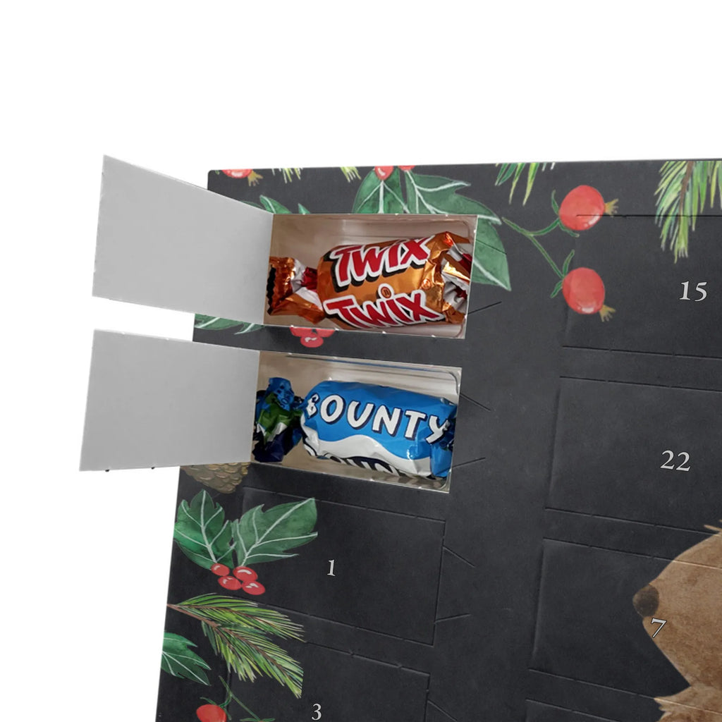 pralinen adventskalender Fledermaus Sitzen Adventskalender Schokolade, Weihnachtskalender Schokolade, Weihnachtskalender, Adventskalender, Schokoladen Adventskalender, kalender schokolade, Weihnachts Kalender, schokolade adventskalender, süßigkeiten kalender, Schoko-Adventskalender, Schoko Adventskalender, Schokoladen-Weihnachtskalender, schoko kalender, schokoladen kalender, adventskalender pralinen, adventskalender schoko, schokoladenkalender, kalender weihnachten, weihnachtskalender schoko, Weihnachten Adventskalender, schoko weihnachtskalender, süßigkeiten adventskalender, Schokoladen-Adventskalender, schokokalender, adventskalender süßigkeiten, pralinen adventskalender, Lustige Sprüche, Gute Laune, Tiermotive, Tiere, Motivation, Entspannen, Fledermaus, Fledermäuse