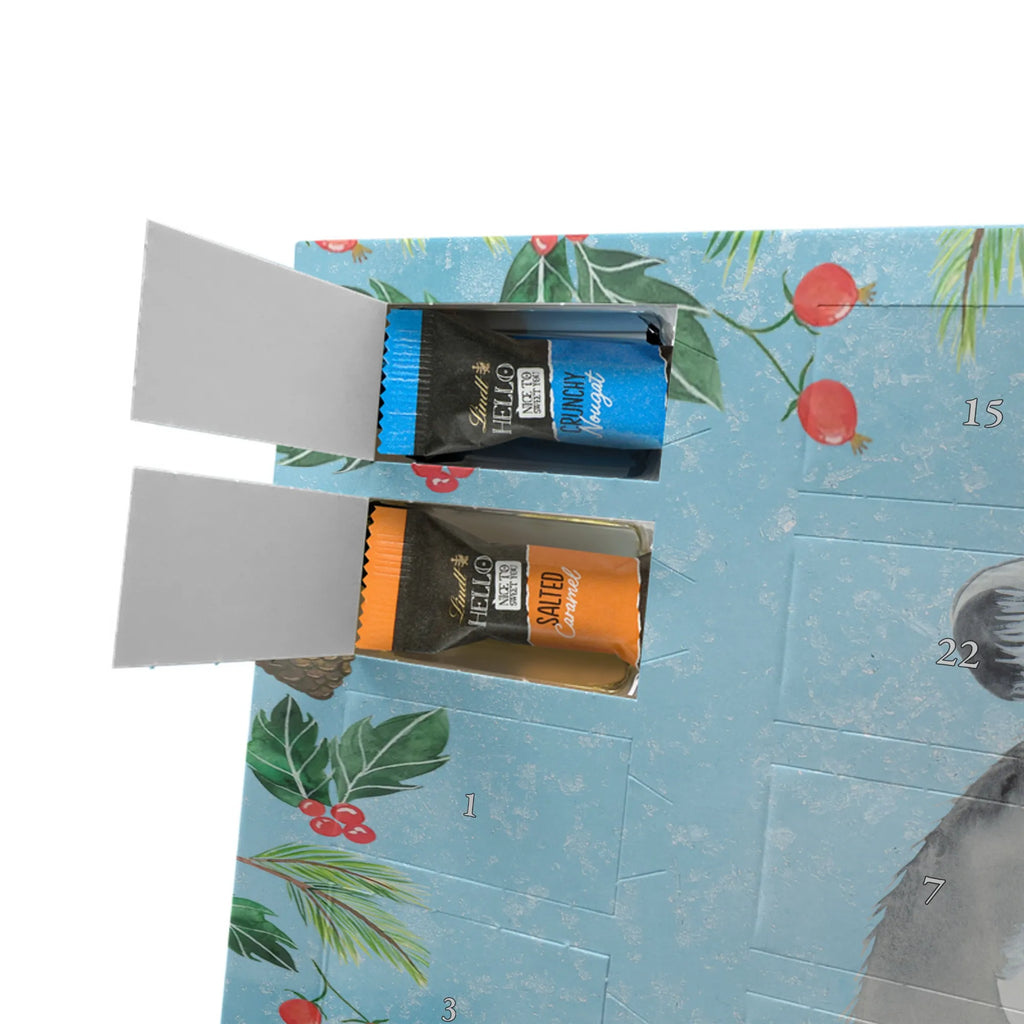  szynszyla kwiat zwierzęta, Motywy zwierzęce, dobra energia, zabawne powiedzonka