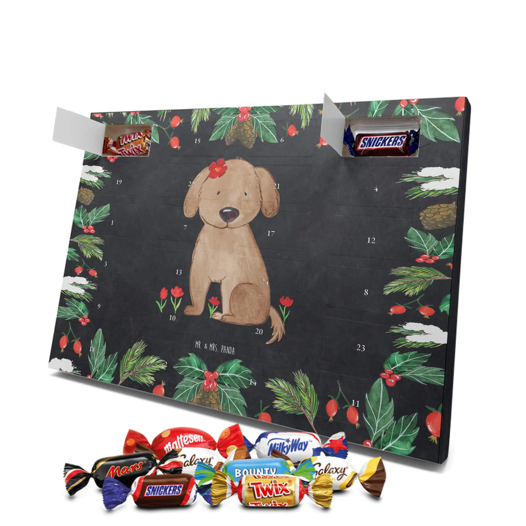 adventskalender süßigkeiten Hund Dame schoko kalender, schokoladen kalender, kalender schokolade, pralinen adventskalender, adventskalender süßigkeiten, Weihnachtskalender, adventskalender schoko, schokolade adventskalender, Schoko Adventskalender, Schokoladen-Adventskalender, süßigkeiten kalender, adventskalender pralinen, Weihnachts Kalender, schokoladenkalender, Schokoladen-Weihnachtskalender, Schoko-Adventskalender, süßigkeiten adventskalender, Adventskalender Schokolade, Weihnachtskalender Schokolade, weihnachtskalender schoko, Schokoladen Adventskalender, Weihnachten Adventskalender, Adventskalender, kalender weihnachten, schokokalender, schoko weihnachtskalender, Tierliebhaber, Hundebesitzer, Hunderasse, Haustier, Hund, Sprüche, Hundemotiv, Liebe, Hundeglück, Hunde, Hundeliebe, Frauchen