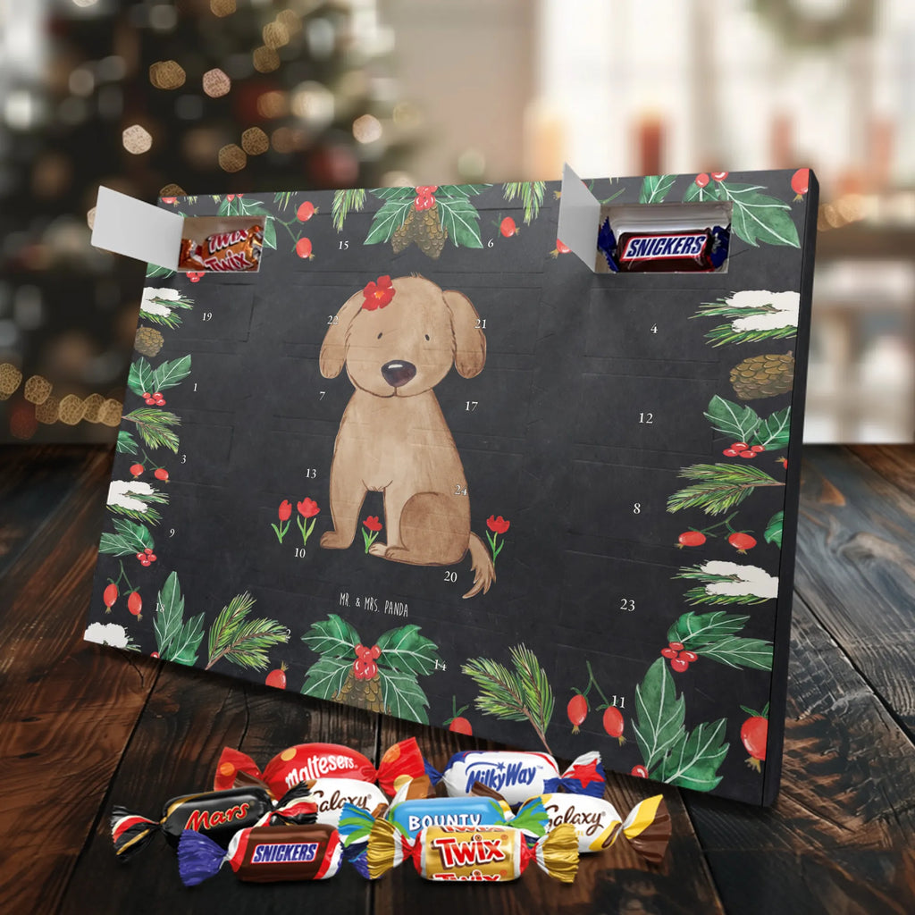 adventskalender süßigkeiten Hund Dame schoko kalender, schokoladen kalender, kalender schokolade, pralinen adventskalender, adventskalender süßigkeiten, Weihnachtskalender, adventskalender schoko, schokolade adventskalender, Schoko Adventskalender, Schokoladen-Adventskalender, süßigkeiten kalender, adventskalender pralinen, Weihnachts Kalender, schokoladenkalender, Schokoladen-Weihnachtskalender, Schoko-Adventskalender, süßigkeiten adventskalender, Adventskalender Schokolade, Weihnachtskalender Schokolade, weihnachtskalender schoko, Schokoladen Adventskalender, Weihnachten Adventskalender, Adventskalender, kalender weihnachten, schokokalender, schoko weihnachtskalender, Tierliebhaber, Hundebesitzer, Hunderasse, Haustier, Hund, Sprüche, Hundemotiv, Liebe, Hundeglück, Hunde, Hundeliebe, Frauchen