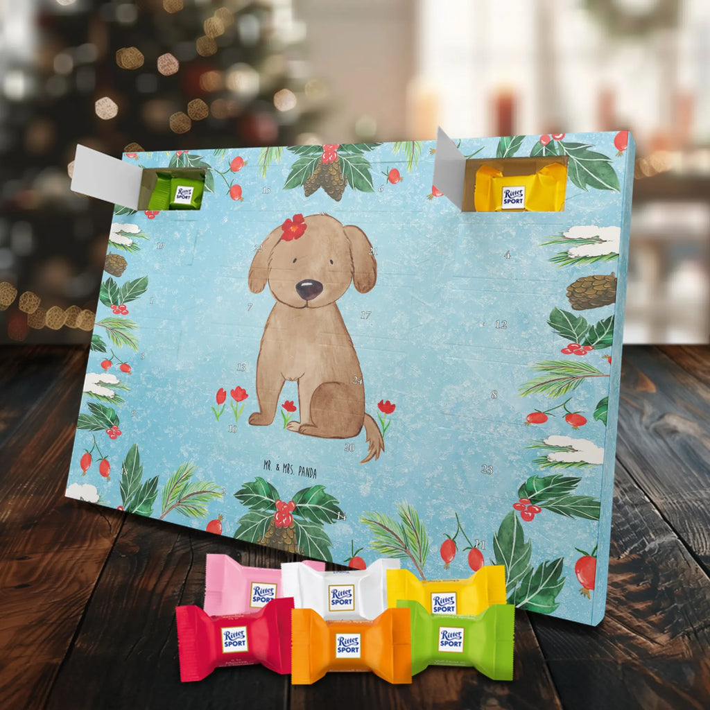 adventskalender süßigkeiten Hund Dame schoko kalender, schokoladen kalender, kalender schokolade, pralinen adventskalender, adventskalender süßigkeiten, Weihnachtskalender, adventskalender schoko, schokolade adventskalender, Schoko Adventskalender, Schokoladen-Adventskalender, süßigkeiten kalender, adventskalender pralinen, Weihnachts Kalender, schokoladenkalender, Schokoladen-Weihnachtskalender, Schoko-Adventskalender, süßigkeiten adventskalender, Adventskalender Schokolade, Weihnachtskalender Schokolade, weihnachtskalender schoko, Schokoladen Adventskalender, Weihnachten Adventskalender, Adventskalender, kalender weihnachten, schokokalender, schoko weihnachtskalender, Tierliebhaber, Hundebesitzer, Hunderasse, Haustier, Hund, Sprüche, Hundemotiv, Liebe, Hundeglück, Hunde, Hundeliebe, Frauchen