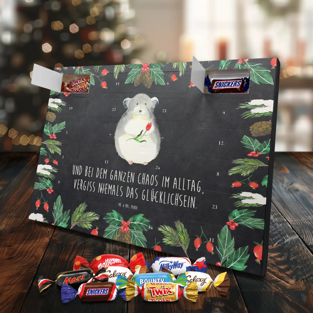  szynszyla kwiat zwierzęta, Motywy zwierzęce, dobra energia, zabawne powiedzonka