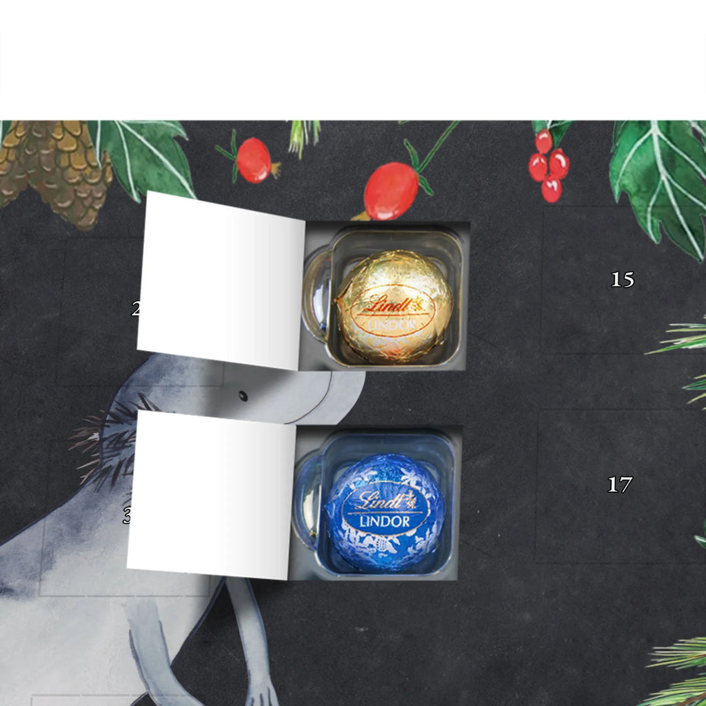 Chocolate advent calendar axolotl To swim Mexican walking fish, Axelotl, marine animals, salamander, amphibians, problems, solutions, tail