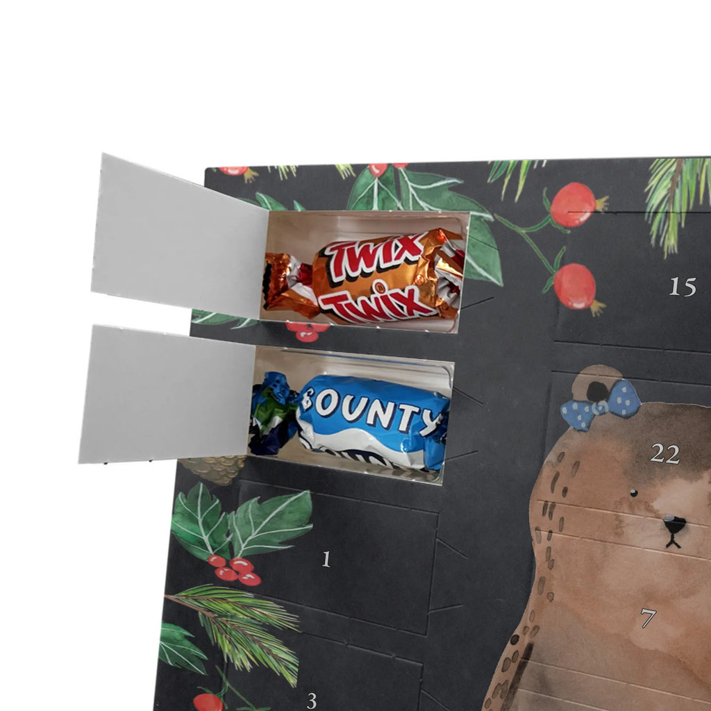 Chocolate advent calendar bear Girlfriend cuddly toy, teddy bear, bear girlfriend best friend love proof of love loves buddy buddy