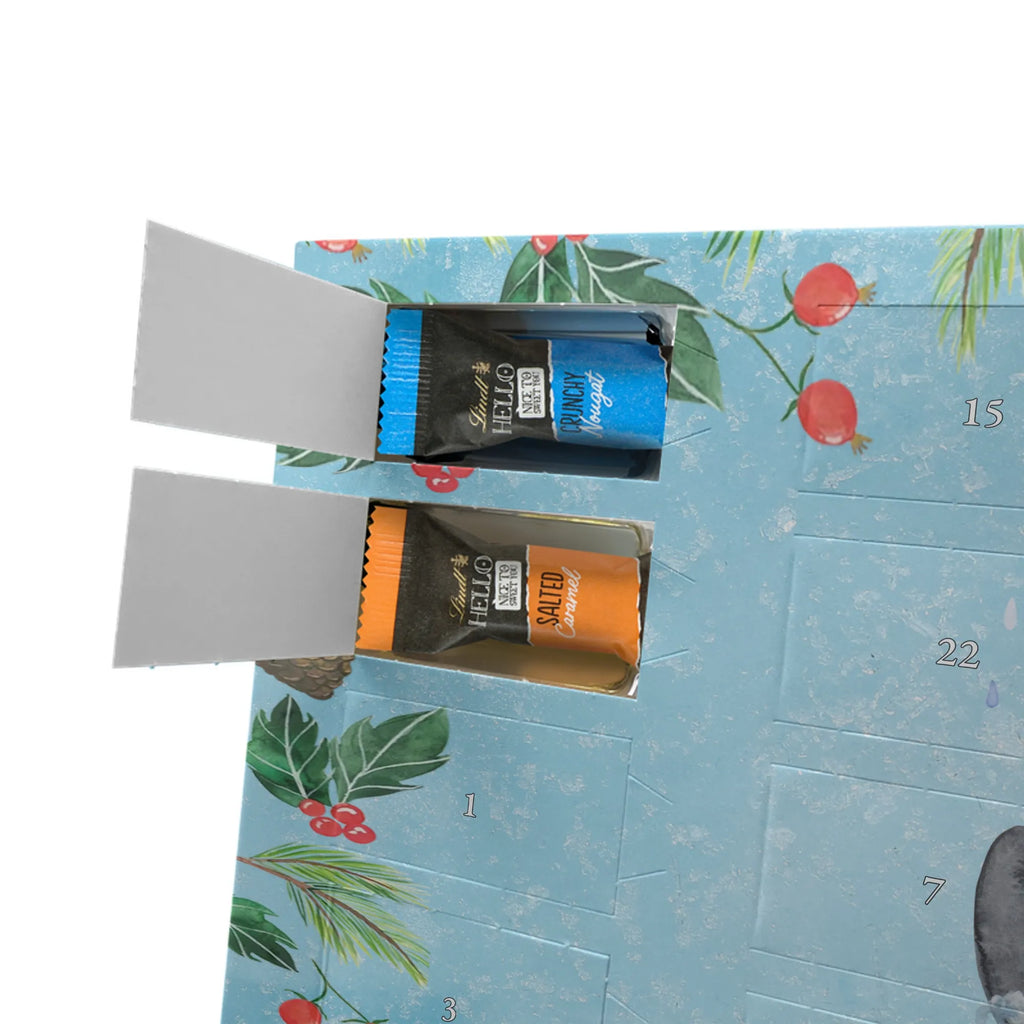 Schokoladen Adventskalender Pinguin Duschen schoko kalender, Adventskalender, schokolade adventskalender, Weihnachtskalender Schokolade, kalender schokolade, Schokoladen-Adventskalender, Weihnachtskalender, pralinen adventskalender, Schoko Adventskalender, schokoladen kalender, weihnachtskalender schoko, kalender weihnachten, adventskalender pralinen, süßigkeiten adventskalender, schoko weihnachtskalender, Schoko-Adventskalender, süßigkeiten kalender, Weihnachten Adventskalender, Schokoladen Adventskalender, schokoladenkalender, Schokoladen-Weihnachtskalender, schokokalender, Weihnachts Kalender, Adventskalender Schokolade, adventskalender süßigkeiten, adventskalender schoko, Pinguin, glücklich sein, Lebensmotto, Motivation, Dusche, Duschen, Pinguine, Neustart, Neuanfang