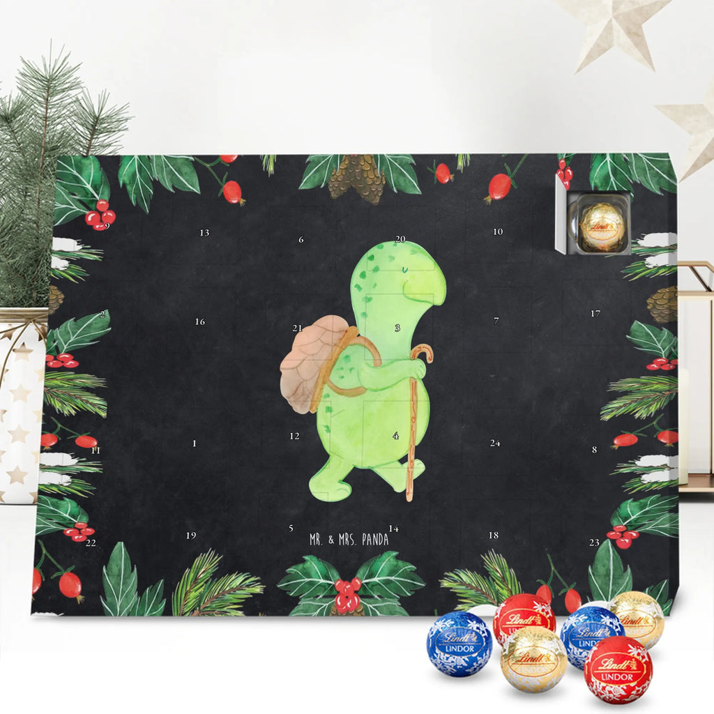 Chocolate advent calendar tortoise walker reptile, sister or daughter, sweet, gift ideas, tortoise, turtle gift items, illustrated, best friend, gift, turtle lover, pet turtles, funny turtle gifts, ancient creature, cute, birthday gift, turtles, new beginning, motivational slogan