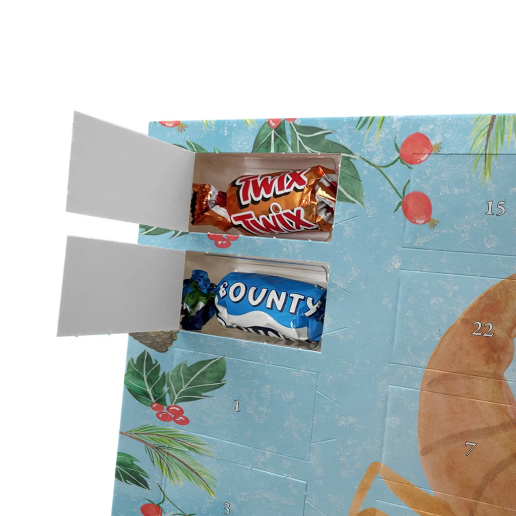 Chocolate advent calendar Star sign Scorpio date of birth, month of birth, constellations, birthdays, astrology, birthday october, scorpion gift, scorpion star sign, scorpions, gift october, birthday november, gift november