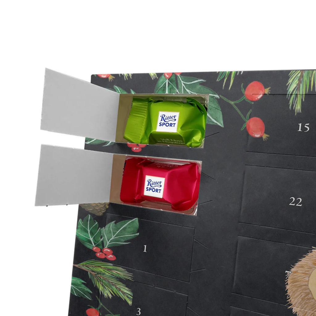 Chocolate advent calendar Hedgehog Pray gift ideas, gifts, small animals, good mood, cute, funny sayings, cute animal motives, hand drawn, special gifts, card, animal lover, pray, God, sun hat, enjoy, hedgehog with hat, gratitude, be grateful