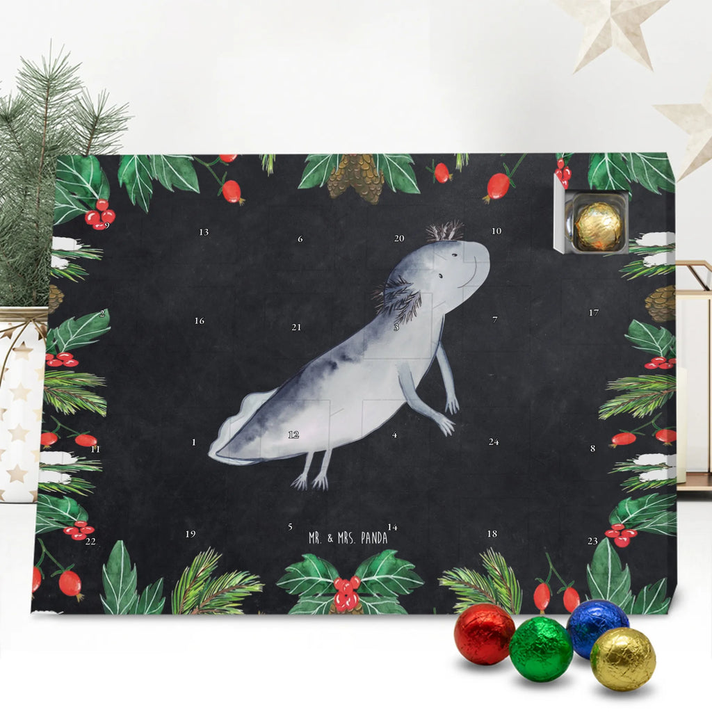 Chocolate advent calendar axolotl To swim Mexican walking fish, Axelotl, marine animals, salamander, amphibians, problems, solutions, tail