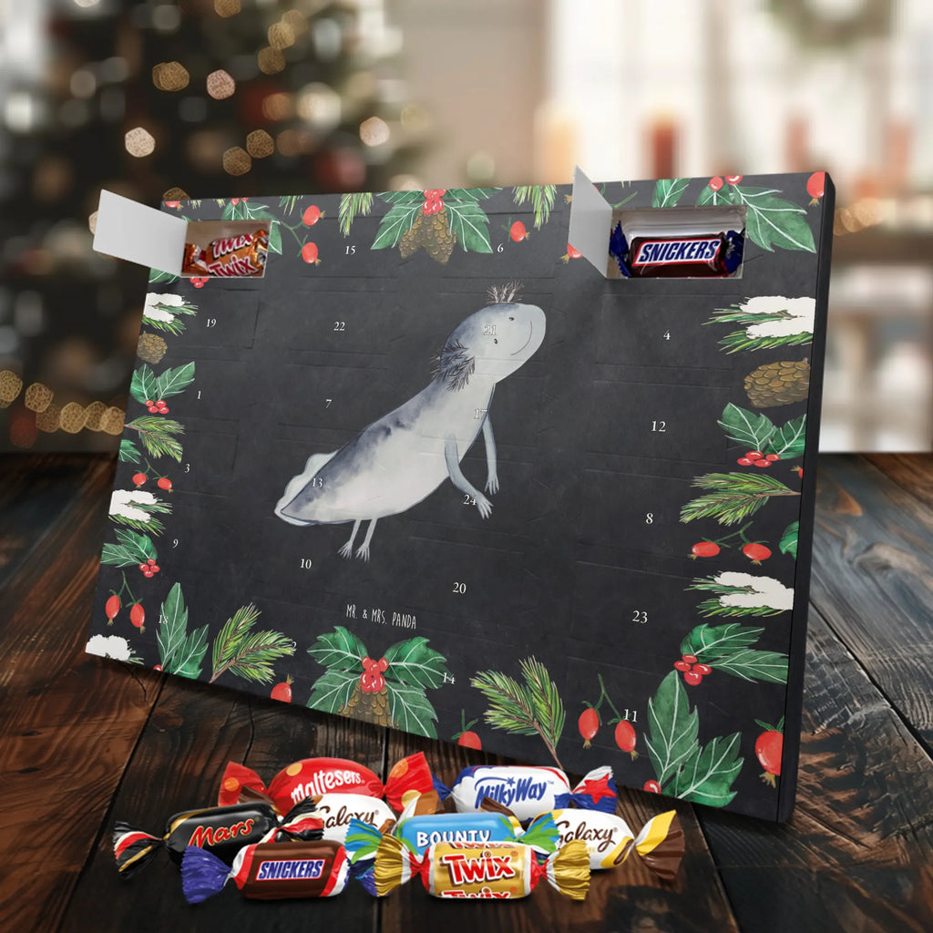 Chocolate advent calendar axolotl To swim Mexican walking fish, Axelotl, marine animals, salamander, amphibians, problems, solutions, tail
