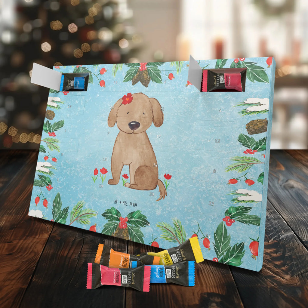 adventskalender süßigkeiten Hund Dame schoko kalender, schokoladen kalender, kalender schokolade, pralinen adventskalender, adventskalender süßigkeiten, Weihnachtskalender, adventskalender schoko, schokolade adventskalender, Schoko Adventskalender, Schokoladen-Adventskalender, süßigkeiten kalender, adventskalender pralinen, Weihnachts Kalender, schokoladenkalender, Schokoladen-Weihnachtskalender, Schoko-Adventskalender, süßigkeiten adventskalender, Adventskalender Schokolade, Weihnachtskalender Schokolade, weihnachtskalender schoko, Schokoladen Adventskalender, Weihnachten Adventskalender, Adventskalender, kalender weihnachten, schokokalender, schoko weihnachtskalender, Tierliebhaber, Hundebesitzer, Hunderasse, Haustier, Hund, Sprüche, Hundemotiv, Liebe, Hundeglück, Hunde, Hundeliebe, Frauchen