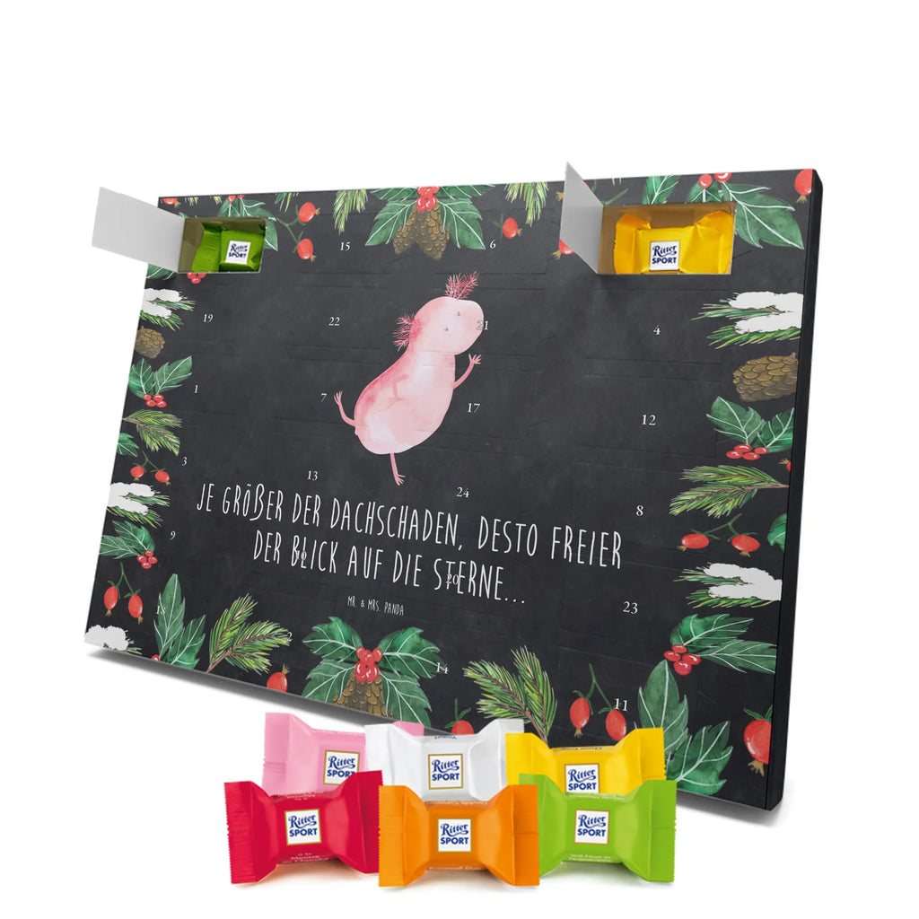 Chocolate advent calendar axolotl Dance Mexican walking fish, Axelotl, marine animals, salamander, stars, roof damage, tailfish, best friend, amphibians, girlfriend