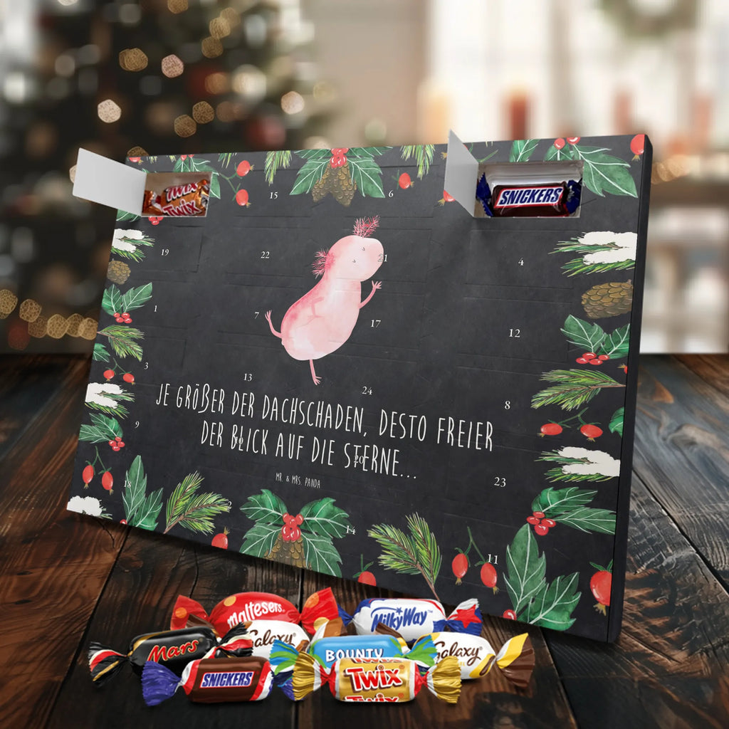Chocolate advent calendar axolotl Dance Mexican walking fish, Axelotl, marine animals, salamander, stars, roof damage, tailfish, best friend, amphibians, girlfriend