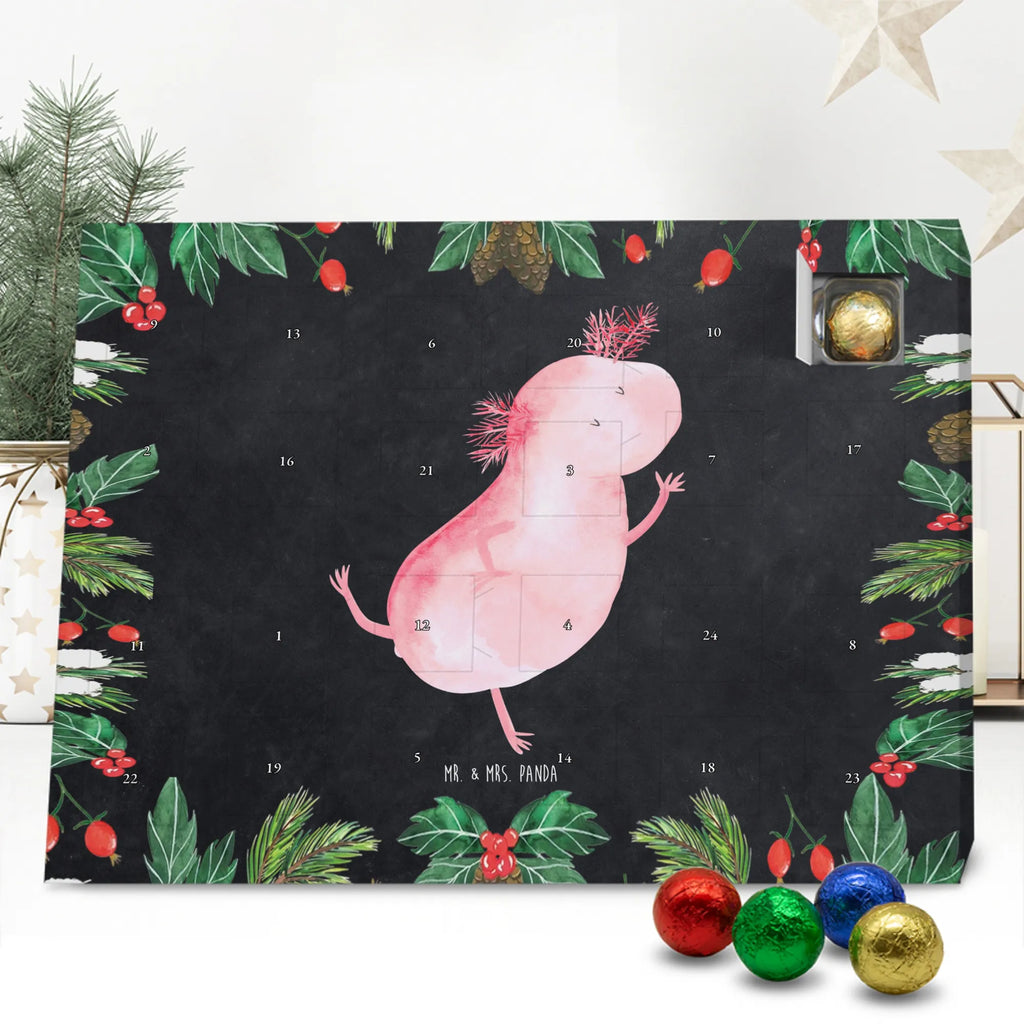 Chocolate advent calendar axolotl Dance Mexican walking fish, Axelotl, marine animals, salamander, stars, roof damage, tailfish, best friend, amphibians, girlfriend