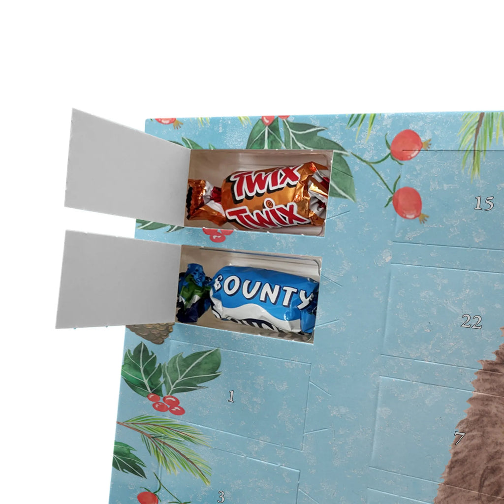 Chocolate advent calendar Hedgehog piece of cake gift ideas, gifts, small animals, good mood, cute, funny sayings, cute animal motives, hand drawn, special gifts, card, animal lover, birthday cake, invitation party, bake cake, food saying, baking gift, cake