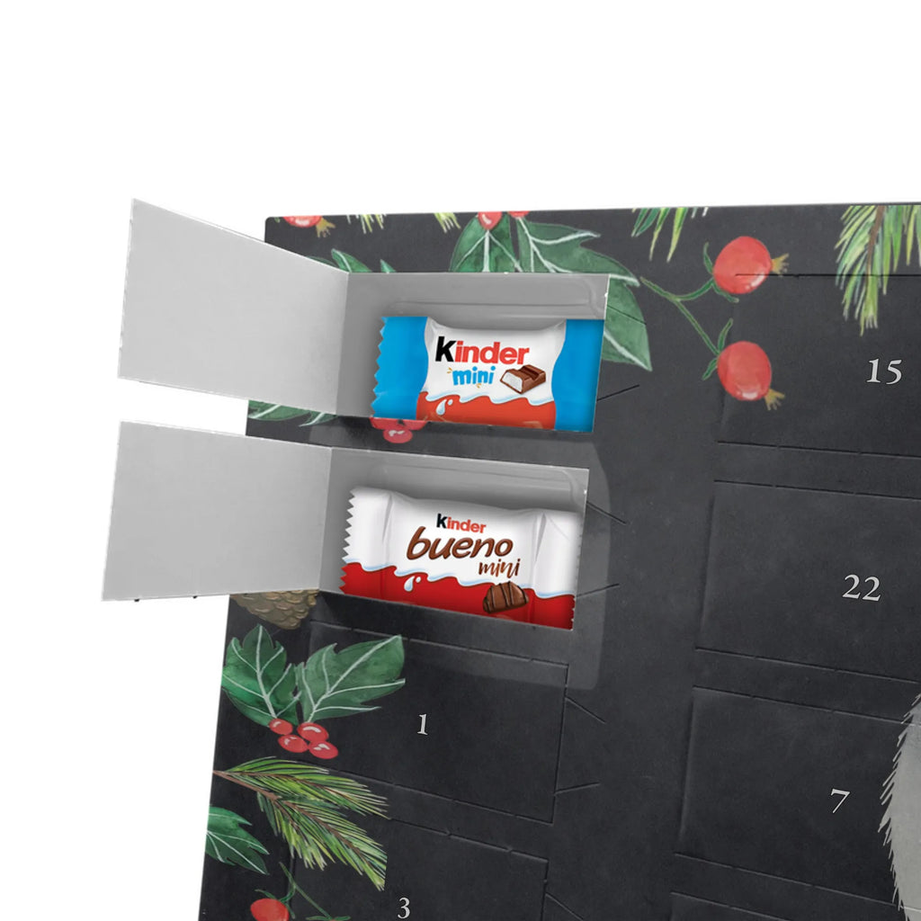  szynszyla kwiat zwierzęta, Motywy zwierzęce, dobra energia, zabawne powiedzonka