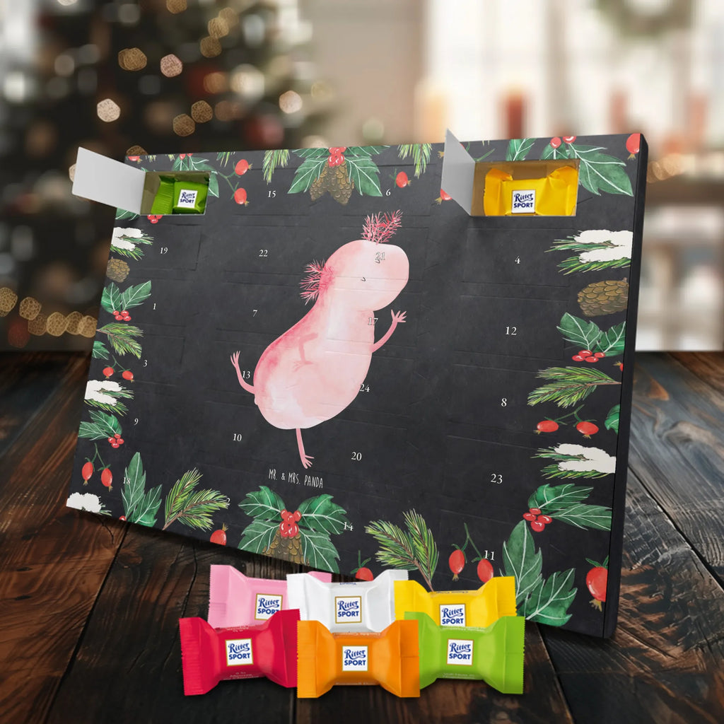 Chocolate advent calendar axolotl Dance Mexican walking fish, Axelotl, marine animals, salamander, stars, roof damage, tailfish, best friend, amphibians, girlfriend