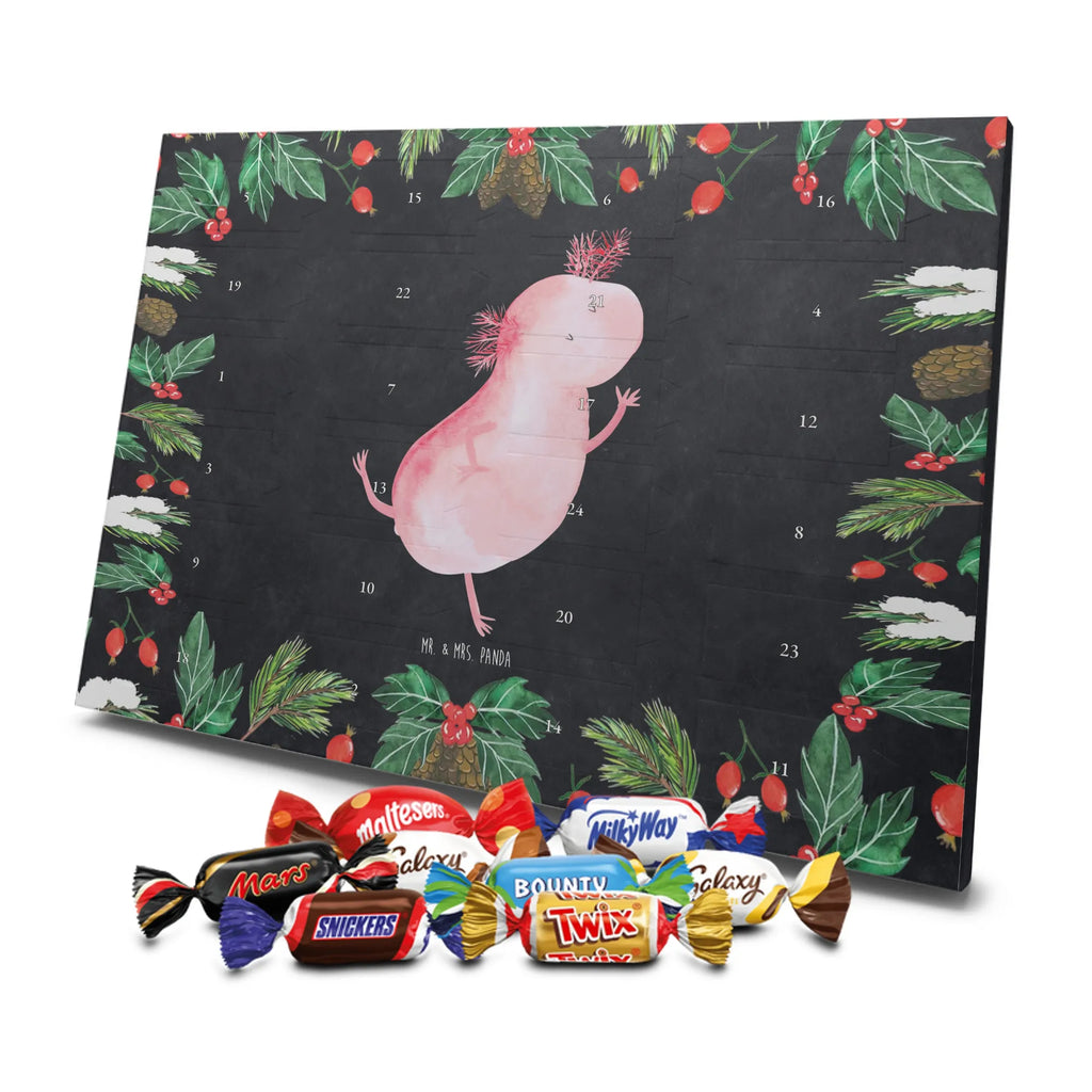Chocolate advent calendar axolotl Dance Mexican walking fish, Axelotl, marine animals, salamander, stars, roof damage, tailfish, best friend, amphibians, girlfriend