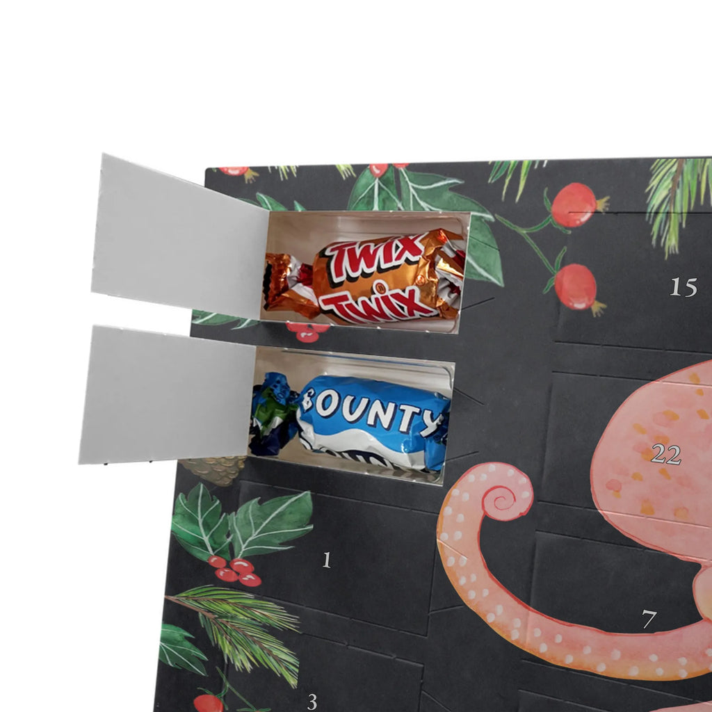 Schokoladen-Adventskalender Tintenfisch Schokoladen-Weihnachtskalender, schoko kalender, weihnachtskalender schoko, Adventskalender Schokolade, süßigkeiten kalender, kalender weihnachten, kalender schokolade, Schokoladen Adventskalender, schokoladenkalender, pralinen adventskalender, schokoladen kalender, Weihnachtskalender Schokolade, Schoko-Adventskalender, schokolade adventskalender, Weihnachts Kalender, Schoko Adventskalender, schoko weihnachtskalender, Weihnachtskalender, Schokoladen-Adventskalender, süßigkeiten adventskalender, Weihnachten Adventskalender, schokokalender, adventskalender süßigkeiten, Adventskalender, adventskalender schoko, adventskalender pralinen, Lustige Sprüche, Gute Laune, Tiermotive, Tiere, Meerestier, Arme, Krake, Tintenfisch, Wasser, Ozean, Meer