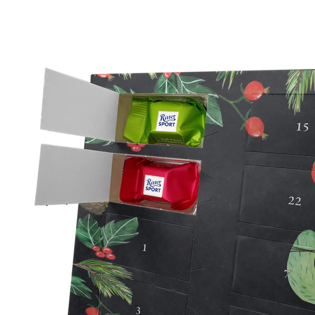 Chocolate advent calendar cactus balloon cactus, cactuses, plants, small green cactus, cactus plant, balloon, joy, boyfriend, new start, office life, cacti, girlfriend, education, exam