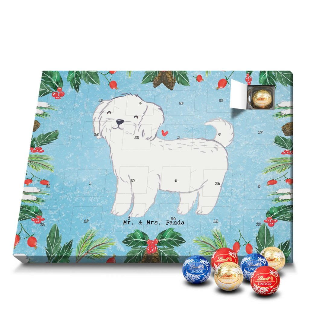  Maltańczyk Chwila szczeniak, miłośnik zwierząt, właściciel psa, pies rasowy, rasa psa, Pies, prezent, dawanie