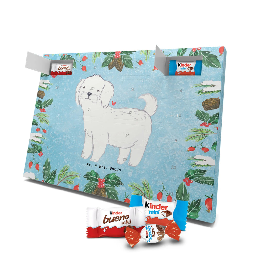  Maltańczyk Chwila szczeniak, miłośnik zwierząt, właściciel psa, pies rasowy, rasa psa, Pies, prezent, dawanie