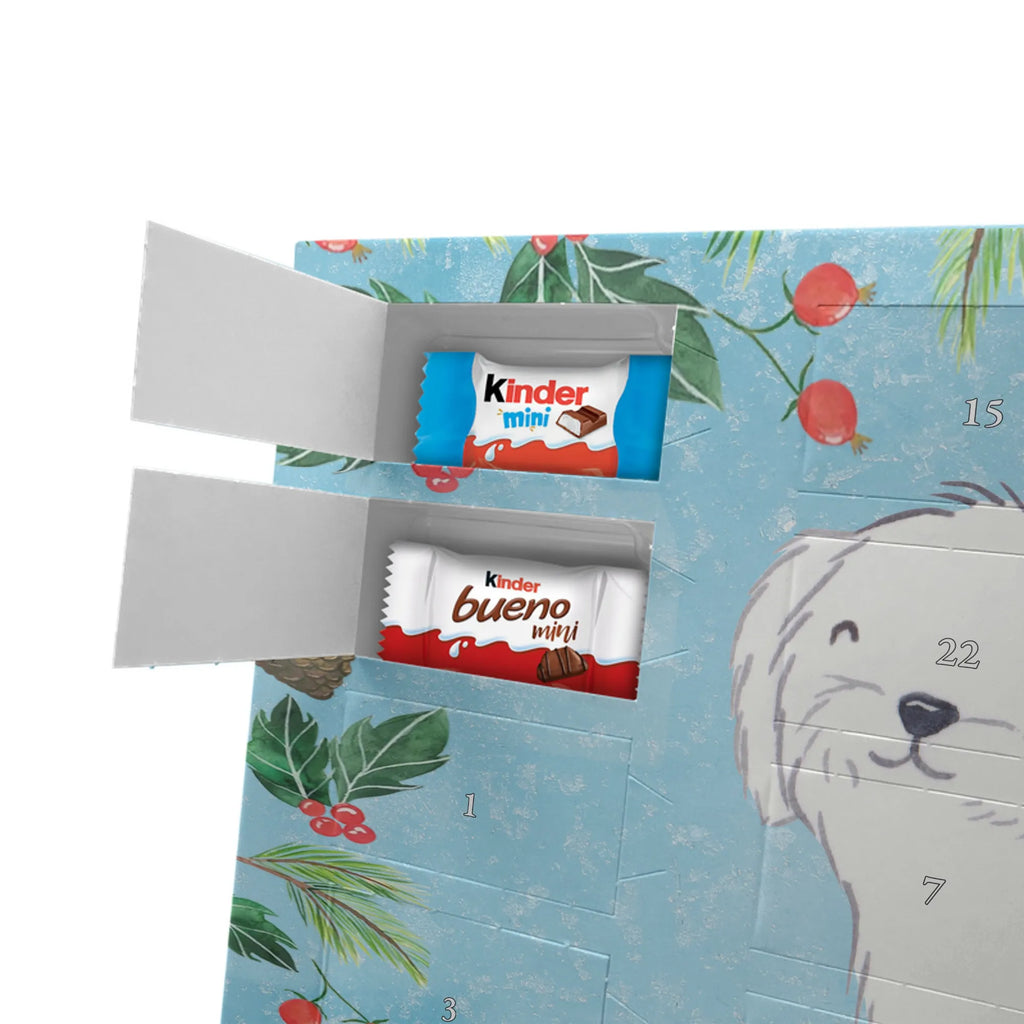  Maltańczyk Chwila szczeniak, miłośnik zwierząt, właściciel psa, pies rasowy, rasa psa, Pies, prezent, dawanie