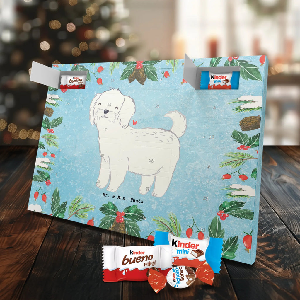  Maltańczyk Chwila szczeniak, miłośnik zwierząt, właściciel psa, pies rasowy, rasa psa, Pies, prezent, dawanie